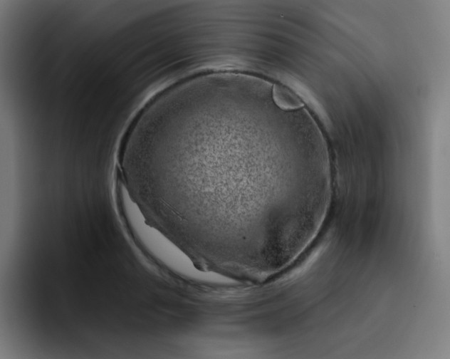 X0000093210845200710101325