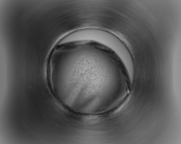 X0000093210846200710101325