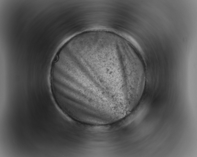 X0000093210847200710101325