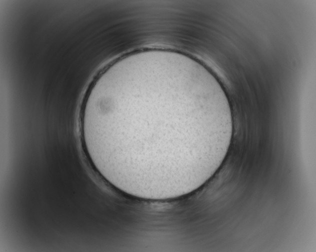 X0000093210848200710101325