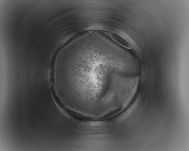 X0000093210849200710101325