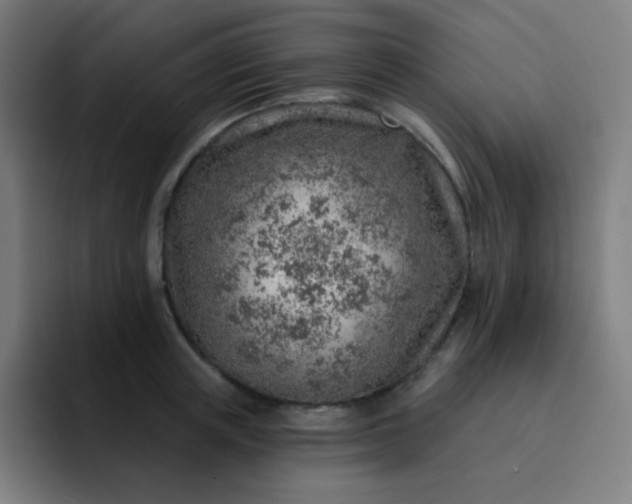 X0000093210851200710101325