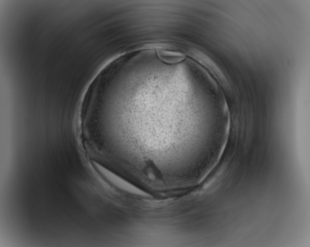 X0000093210852200710101325