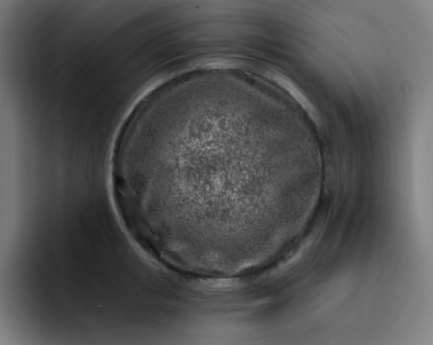 X0000093210853200710101325