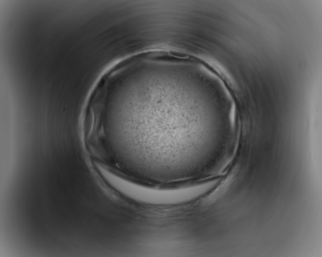 X0000093210854200710101325