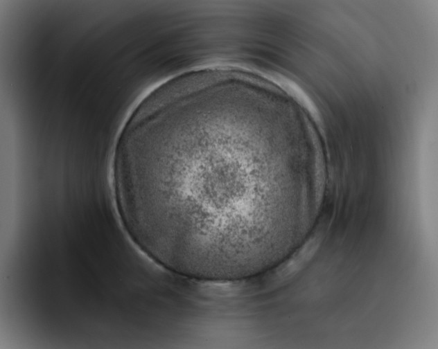 X0000093210855200710101325