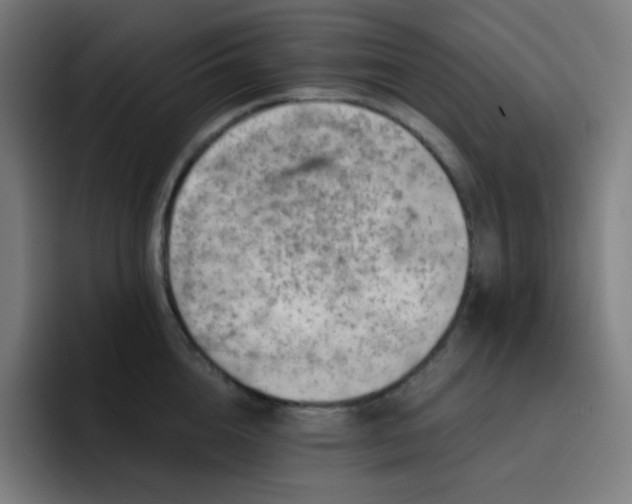 X0000093210856200710101325