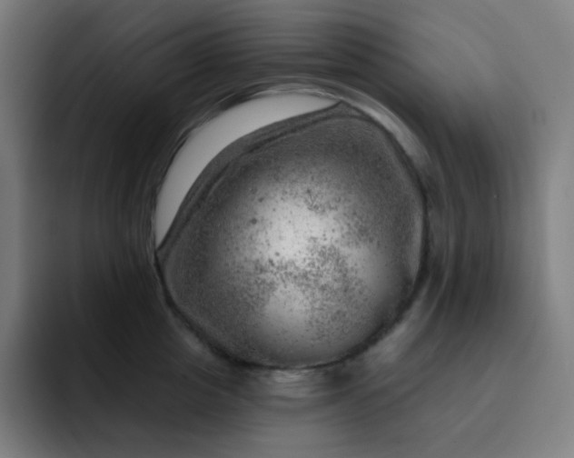 X0000093210857200710101325