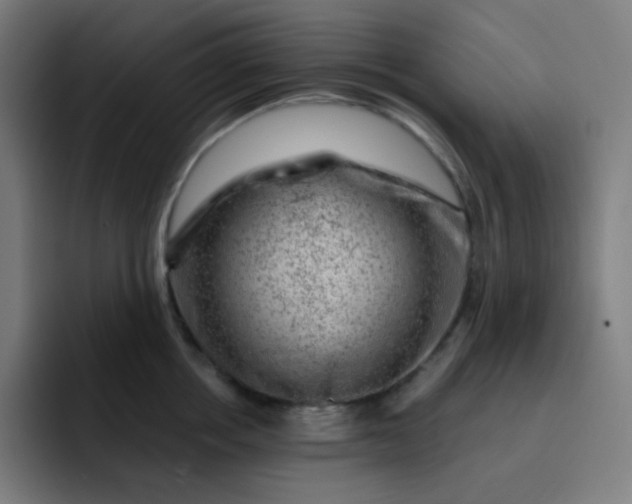 X0000093210858200710101325