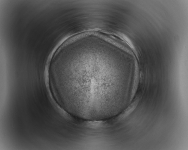 X0000093210859200710101325