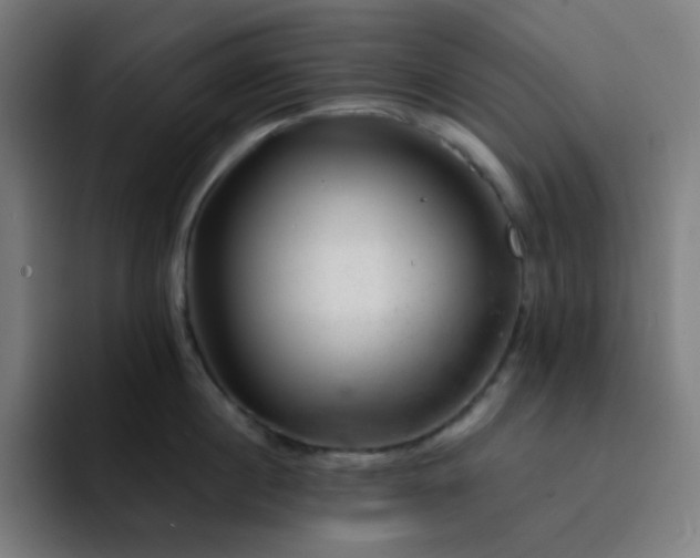 X0000093210860200710101325