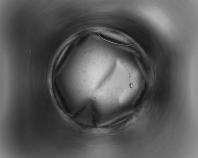 X0000093210861200710101325