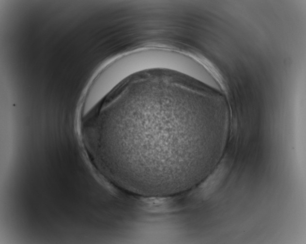 X0000093210862200710101325