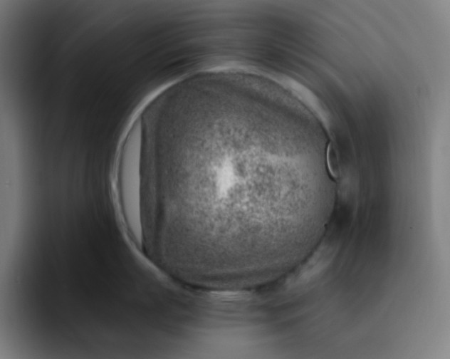 X0000093210863200710101325