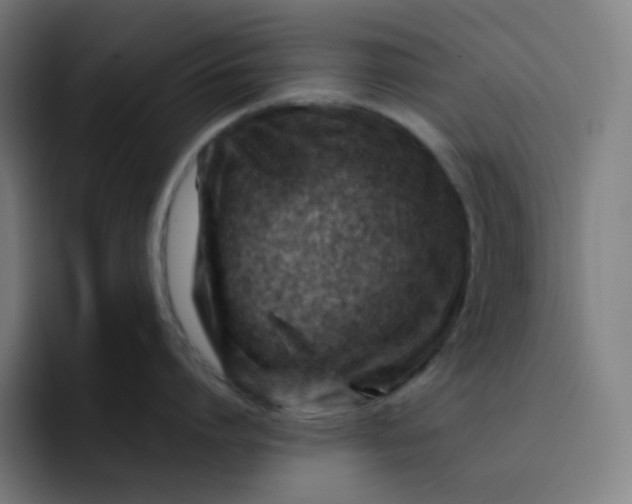 X0000093210864200710101325