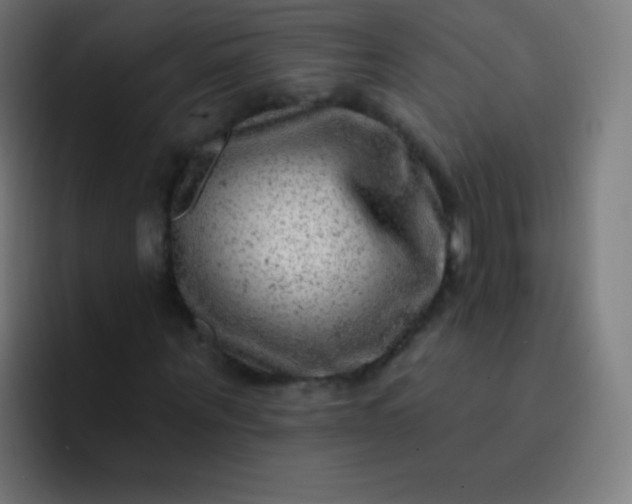 X0000093210867200710101325