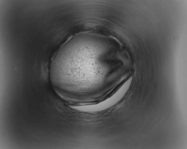 X0000093210868200710101325