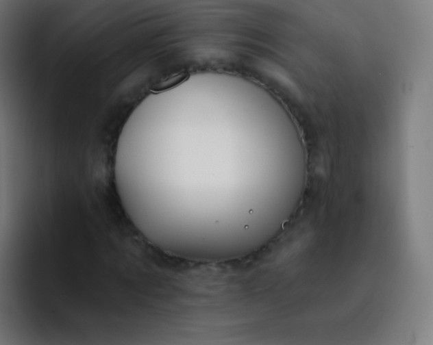 X0000093210869200710101325