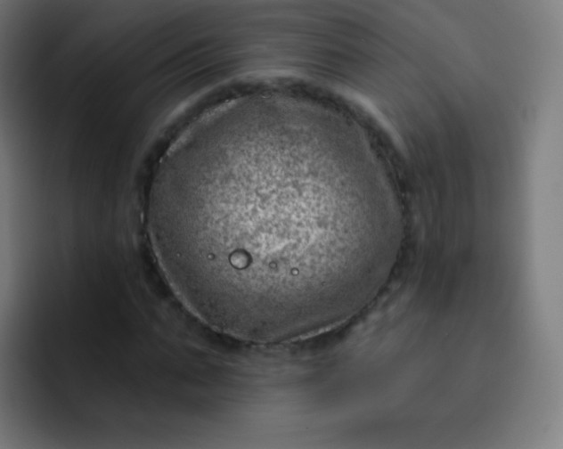 X0000093210871200710101324