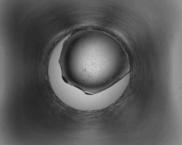 X0000093210872200710101324