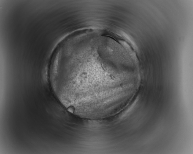 X0000093210875200710101324