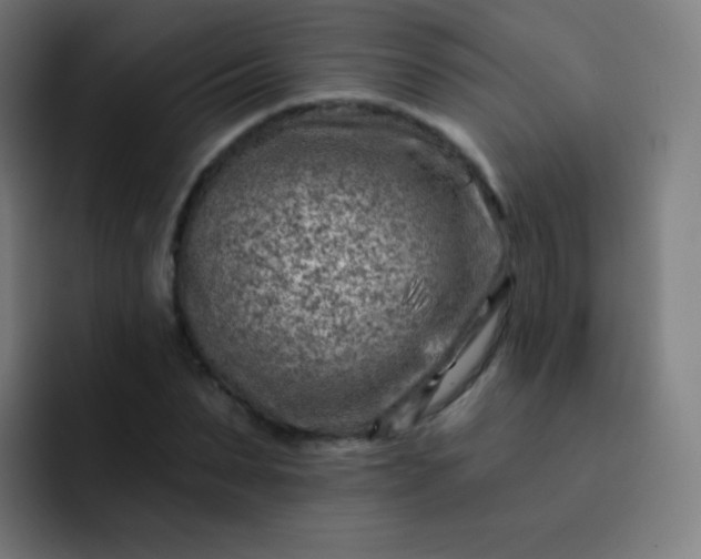 X0000093210879200710101324