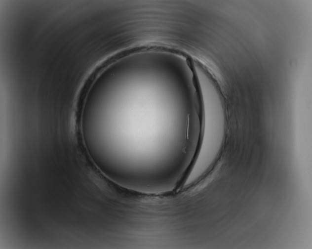 X0000093210880200710101324