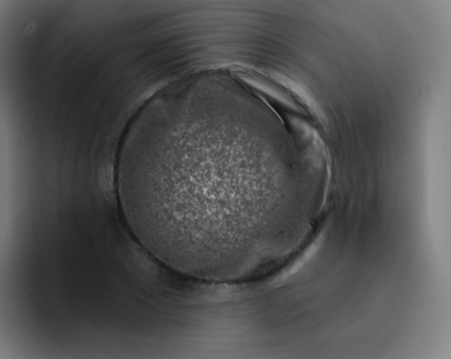 X0000093210881200710101324