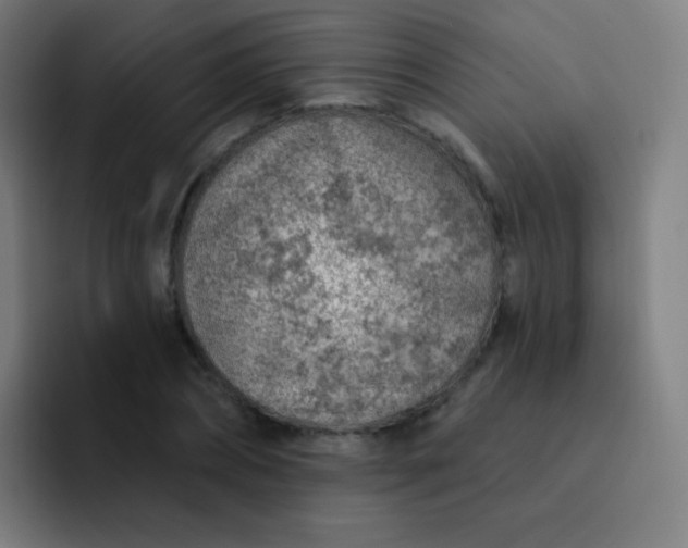 X0000093210882200710101324