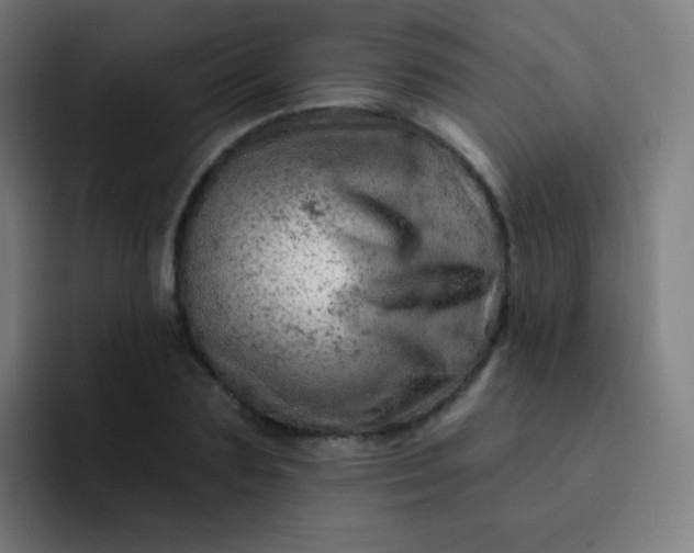 X0000093210883200710101324