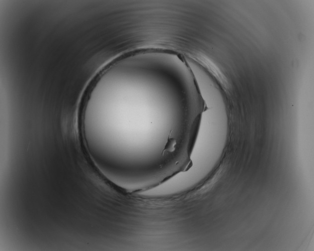 X0000093210884200710101324