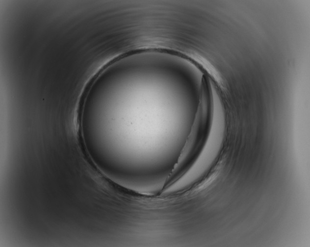 X0000093210885200710101324