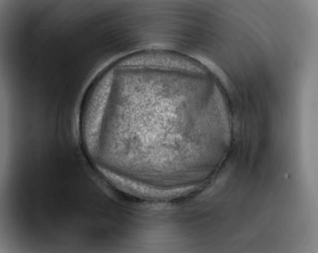 X0000093210886200710101324