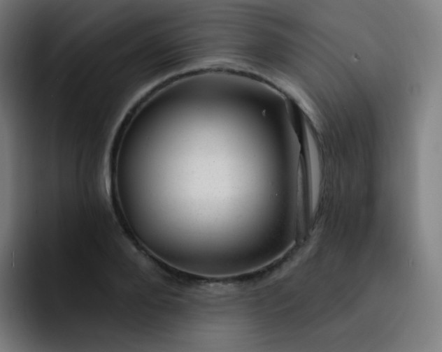 X0000093210888200710101324