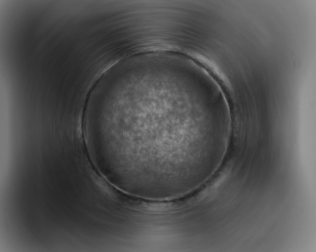 X0000093210889200710101324