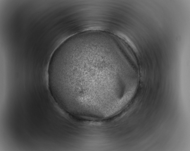 X0000093210890200710101324