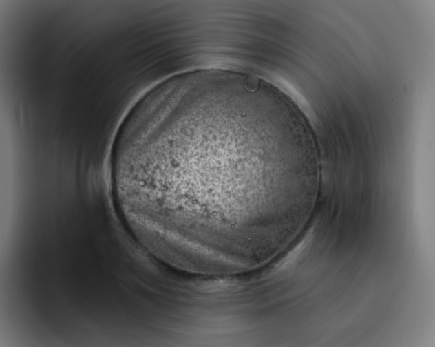 X0000093210891200710101324