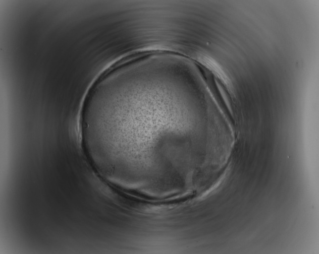 X0000093210892200710101324