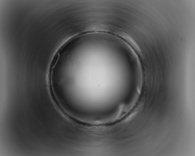 X0000093210893200710101324