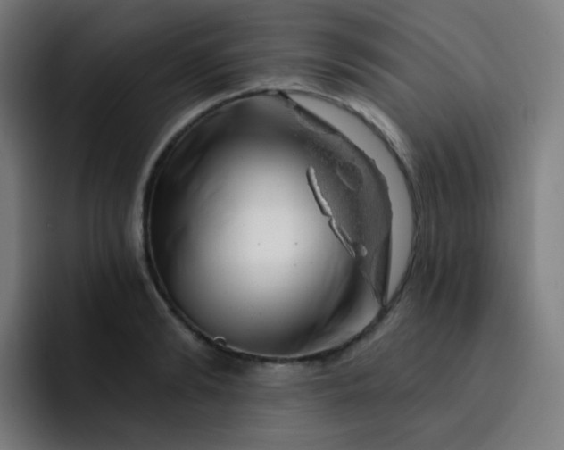 X0000093210894200710101324