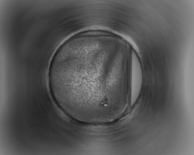 X0000093210895200710101324