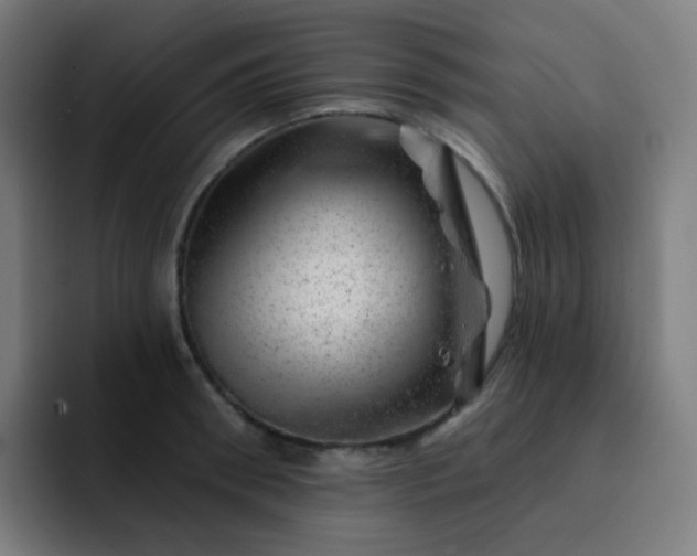 X0000093210898200710101324