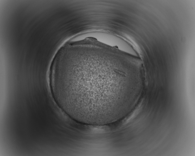 X0000093210899200710101324