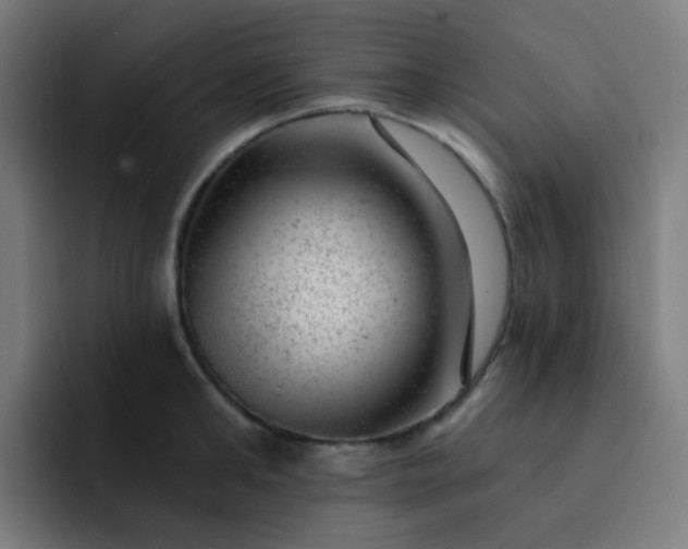 X0000093210902200710101324