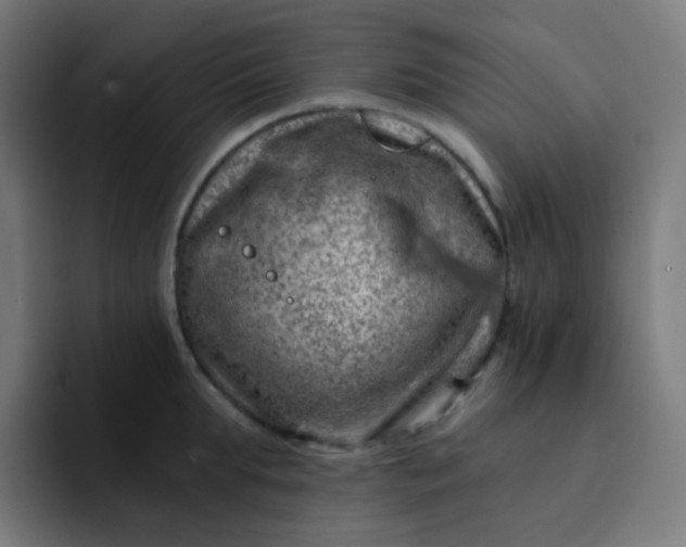 X0000093210903200710101324