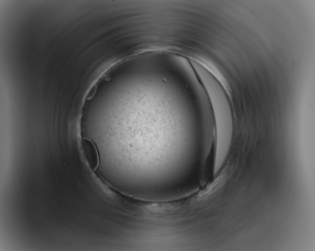 X0000093210906200710101324