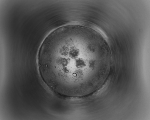 X0000093210907200710101324