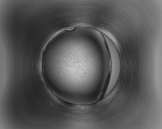 X0000093210910200710101324