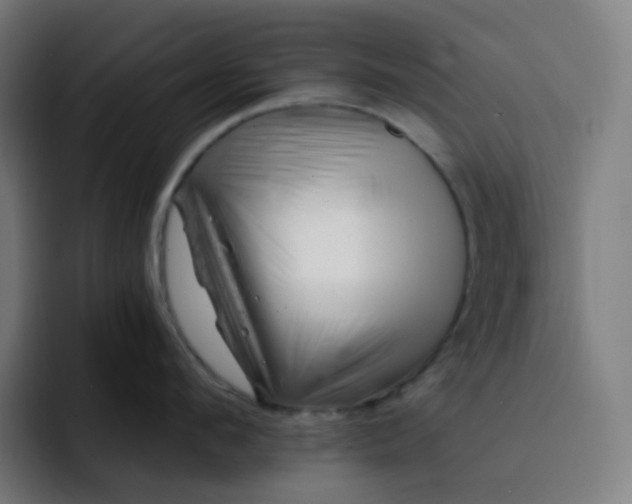 X0000093210912200710101324