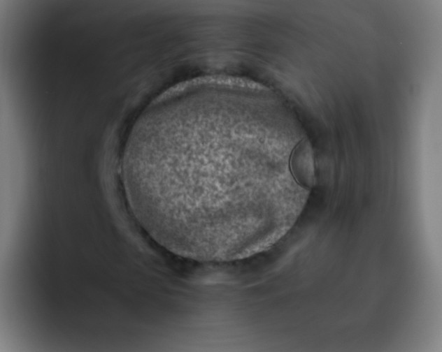 X0000093210913200710101323